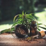 Medical & Recreational Marijuana: Understanding the Difference