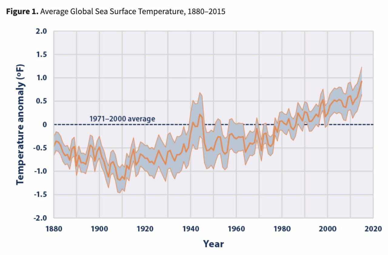 Average Global Sea Surface Temperature