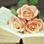8 Reasons Why Literature is Important