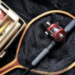 Fishing Tips for Beginners: How To Fish?
