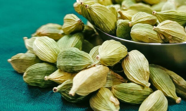 7 Best Cardamom Substitute Options to Try Right Now