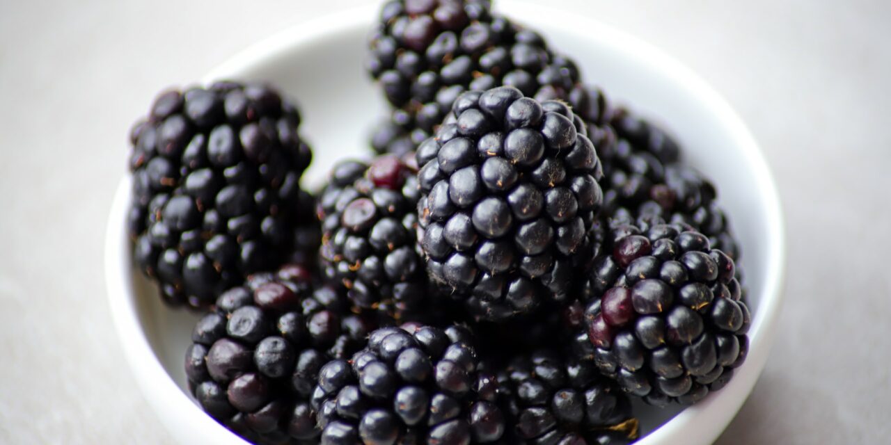 9 Incredible Black-Coloured Foods to Incorporate in Your Diet
