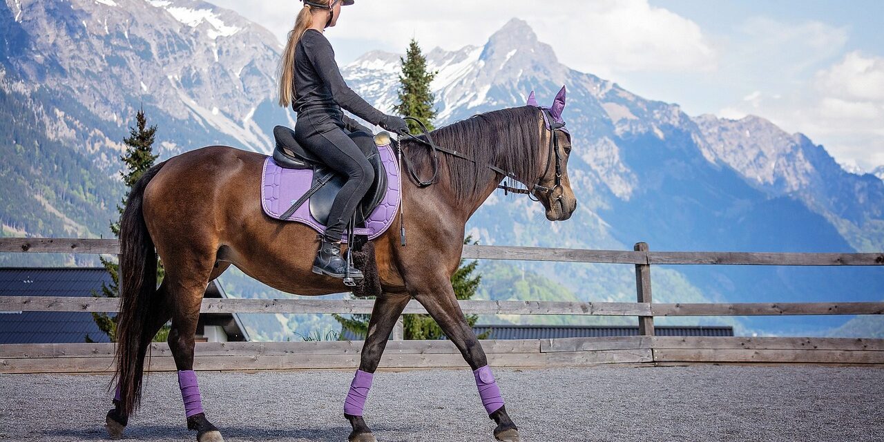 Reasons Why Horse Riding is Ideal for Your Health